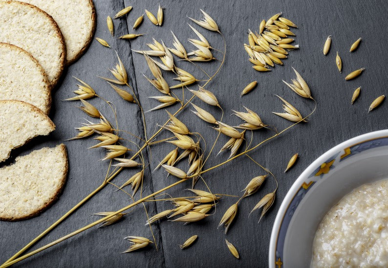 Fuel Your Body with Fibre: Ways to Help Your Family Enjoy Whole Wheat in Every Meal