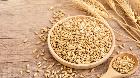 The Digestive and Energizing Power of Whole Wheat: Unveiling its Benefits